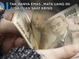 Tak Hanya Emas, Investasi Mata Uang Ini pun Cuan Saat Krisis