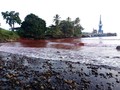 Pantai Papua Nugini Tercemar Limbah Tambang Nikel China