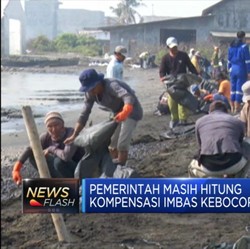 Tumpahan Minyak, Mitigasi Lingkungan Diterjunkan