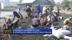 Tumpahan Minyak, Mitigasi Lingkungan Diterjunkan