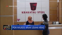 PGN Bakal Akuisisi Anak Usaha Krakatau Steel