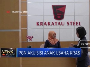 PGN Bakal Akuisisi Anak Usaha Krakatau Steel