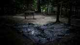 Lembaran plastik terlihat pada suatu area di Mount Vernon, rumah dari George Washington, yang diyakini masih menyimpan peninggalan para budak. (REUTERS/Carlos Barria)