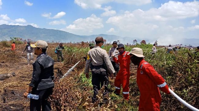 150 Hektare Lahan di Kolaka Timur Terbakar