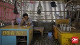 Hari (38) Salah satu pengepul ikan di TPI Sungai Buntu, mengaku mengalami penurunan omset karena tangkapan ikan oleh nelayan berkurang drastis akibat tumpahan minyak di laut Karawang. (CNN Indonesia/Adhi Wicaksono)