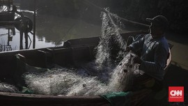 Para Pemburu 'Hantu' Gumpalan Minyak Pertamina di Karawang
