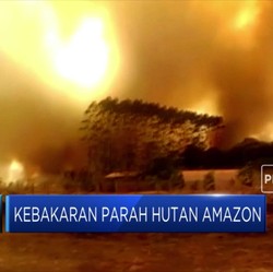 Kebakaran Parah Masih Menghantui Hutan Amazon