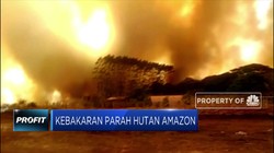 Kebakaran Parah Masih Menghantui Hutan Amazon