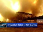 Kebakaran Parah Masih Menghantui Hutan Amazon