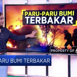 Hutan Amazon dan Catatan Terbakarnya Paru-Paru Bumi
