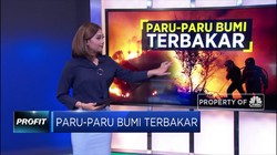 Hutan Amazon dan Catatan Terbakarnya Paru-Paru Bumi