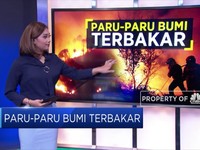 Hutan Amazon dan Catatan Terbakarnya Paru-Paru Bumi