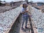 Keren! Seniman ini Ubah Tulang Ikan Jadi Kerajinan Berkelas