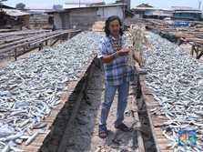 Keren! Seniman ini Ubah Tulang Ikan Jadi Kerajinan Berkelas