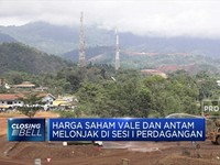 Larangan Ekspor Nikel Berlaku, Saham Vale & Antam Naik