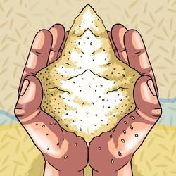 Rata-rata Harga Beras Turun Selama Februari 2022