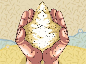 Awas Impor! Harga Beras Kompak Naik di Agustus