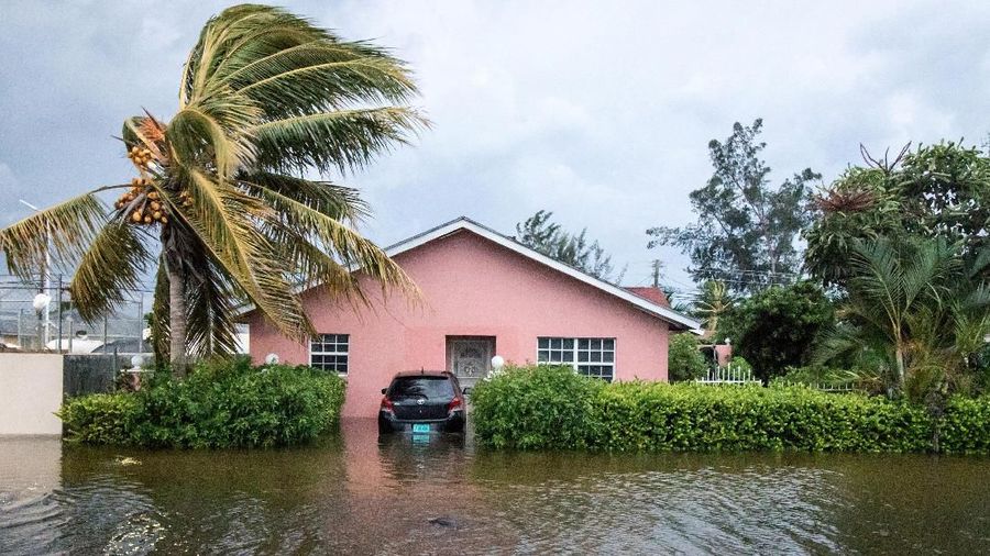 A palm tree bends in the wind next to a flooded street after the effects of Hurricane Dorian arrived in Nassau, Bahamas, September 2, 2019.   REUTERS/John Marc Nutt MANDATORY CREDIT. NO RESALES. NO ARCHIVES