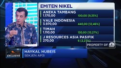 Ekspor Nikel Dilarang, AP3I Nantikan Tax Insentif