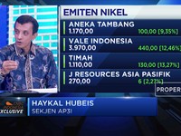 Ekspor Nikel Dilarang,  AP3I Nantikan Tax Insentif