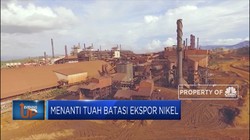 Menanti Tuah Larangan Ekspor Nikel