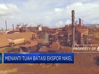 Menanti Tuah Larangan Ekspor Nikel