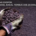 RI Larang Ekspor, Harga Nikel Bakal Tembus US$ 20.000/ton