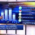 Ekspor Nikel Dilarang, Untung Atau Buntung?