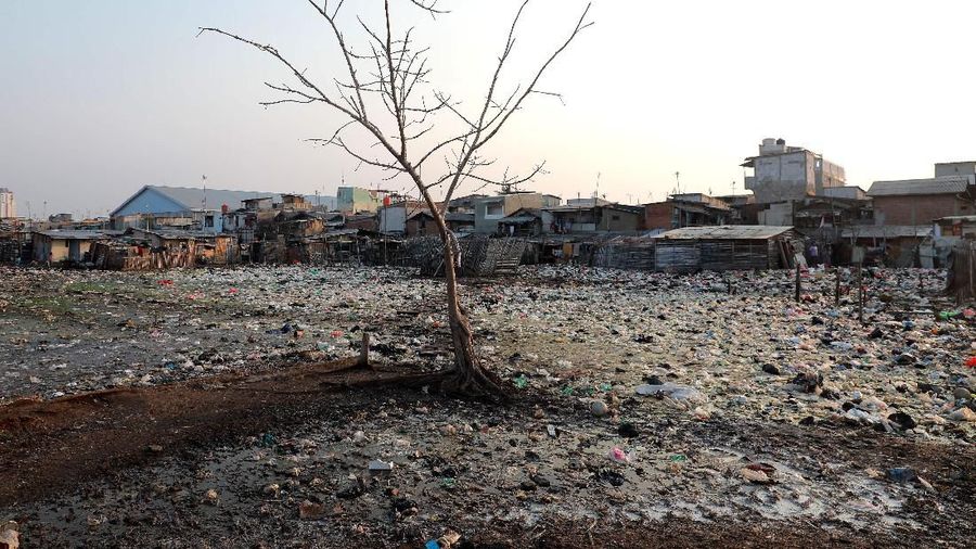Suasana perkampungan yang penuh tumpukan sampah di Kampung Bengek, Penjaringan, Jakarta Utara, Selasa (3/9/2019). (CNBC Indonesia/Muhammad Sabki) Sejumlah rumah panggung dengan bahan tripleks dan kayu berdiri di atas genangan air yang penuh tumpukan sampah di Kampung Bengek, Penjaringan, Jakarta Utara, Selasa (3/9/2019). Tumpukan sampah tersebut berasal dari pemukiman liar di Kampung Bengek yang didirikan di atas lahan milik PT Pelindo II, Bahkan tumpukan sampah itupun sampai menutup jalan menuju rumah-rumah warga Kendati begitu, warga yang tinggal di rumah panggung itu tidak terganggu dengan adanya tumpukan sampah. Pelindo II telah berupaya agar lahan tersebut tidak dimasuki warga dengan memasang pagar pembatas dan portal. Kampung Bengek menjadi viral beberapa hari belakangan. Alasannya, kampung itu dikelilingi lautan sampah. (CNBC Indonesia/Muhammad Sabki)