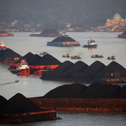 Apes Lagi! Tak Ada Katalis Positif, Harga Batu Bara Ambrol
