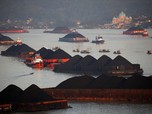Kembali Dilirik, Ini Bukti Batu Bara RI Hangatkan Eropa