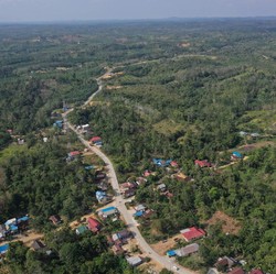 Lokasi Ibu Kota Baru RI Diklaim Minim Risiko Kebakaran Hutan