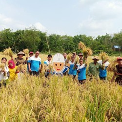 Kredit Usaha Rakyat Tembus Rp 116 T, NPL 1,23%