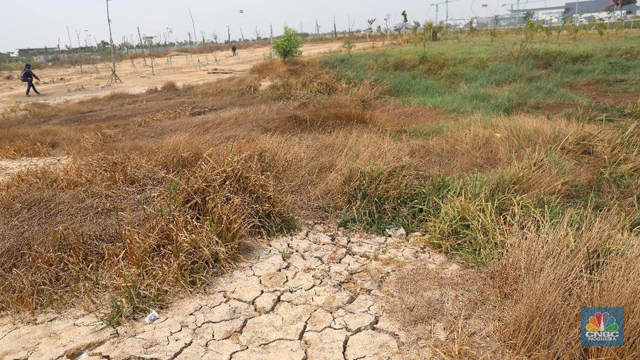 Aktivitas warga memancing di pinggir Waduk Rorotan, Jakarta Utara, Kamis (5/9). Pembangunan waduk Rorotan yang berbatasan dengan wilayah Cakung, Jakarta Timur, hingga saat ini belum menunjukkan hasil memuaskan. Pasalnya memasuki tahun keempat, pembangunan penampungan air raksasa ini belum juga rampung. Waduk seluas 25 hektar itu, tampak terlihat jelas di bagian tepi waduk. Dimana tempat penampungan air yang berlokasi dekat mall Aeon dan berbatasan dengan wilayah Jakarta Utara, hanya dipenuhi pohon kering, tanah tandus dan tumpukan batu. Warga sekitar mengatakan, hampir satu tahun ini nasib Waduk Rorotan tak jelas nasibmya. Karena sampai sekarang penampungan air raksasa itu tak bisa sepenuhnya dinikmati warga.  (CNBC Indonesia/Muhammad Sabki)