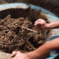 Geger Pengikut Sekte Sesat ini Makan Kulit Mati & Kotoran Pemimpinnya