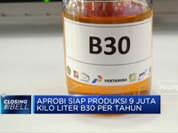 Aprobi Siap Produksi 9 Juta Kilo Liter B30 Per Tahun
