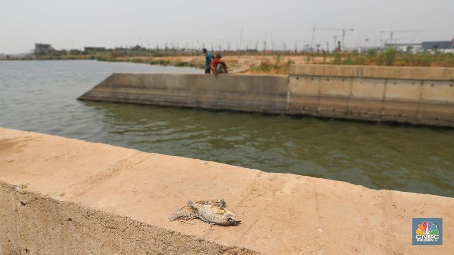 Tanah sekitar waduk mengering serta pecah-pecah. Paving block yang berada di sekitar waduk pun rusak dan tidak bisa digunakan lagi.