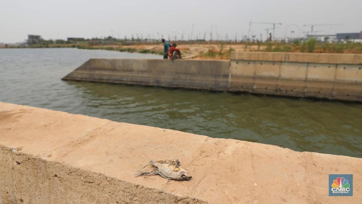 Aktivitas warga memancing di pinggir Waduk Rorotan, Jakarta Utara, Kamis (5/9). Pembangunan waduk Rorotan yang berbatasan dengan wilayah Cakung, Jakarta Timur, hingga saat ini belum menunjukkan hasil memuaskan. Pasalnya memasuki tahun keempat, pembangunan penampungan air raksasa ini belum juga rampung. Waduk seluas 25 hektar itu, tampak terlihat jelas di bagian tepi waduk. Dimana tempat penampungan air yang berlokasi dekat mall Aeon dan berbatasan dengan wilayah Jakarta Utara, hanya dipenuhi pohon kering, tanah tandus dan tumpukan batu. Warga sekitar mengatakan, hampir satu tahun ini nasib Waduk Rorotan tak jelas nasibmya. Karena sampai sekarang penampungan air raksasa itu tak bisa sepenuhnya dinikmati warga. (CNBC Indonesia/Muhammad Sabki)
