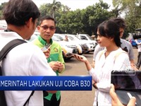Pemerintah Segera Lakukan Uji Coba B30