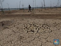 Waspada, 4 Wilayah di RI Terancam Kekeringan Ekstrem