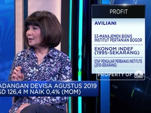 Cadangan Devisa Masih Rentan, Ini Pendapat Ekonom