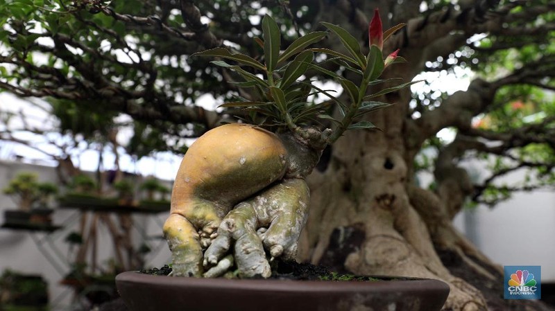 Dinas Kehutanan dan Pertamanan Provinsi DKI Jakarta menggelar pameran flora dan fauna yang diikuti sebanyak 140 peserta pameran dari berbagai daerah.