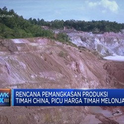 Respons Pemangkasan Produksi, Harga Timah Meroket