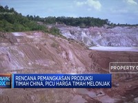 Respons Pemangkasan Produksi, Harga Timah Meroket