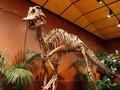 Bekas Jejak Kaki Dinosaurus 100 Juta Tahun Ditemukan