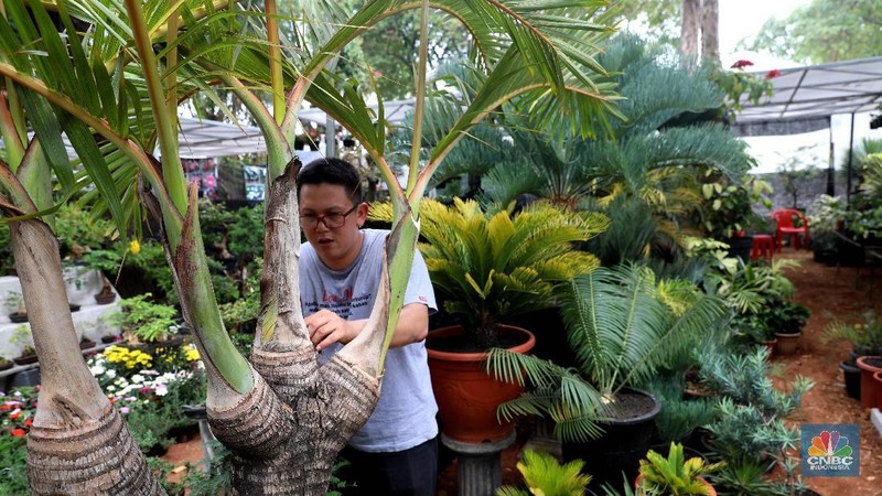 Dinas Kehutanan dan Pertamanan Provinsi DKI Jakarta menggelar pameran flora dan fauna yang diikuti sebanyak 140 peserta pameran dari berbagai daerah.
