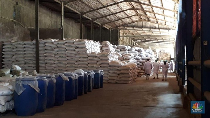 Peternakan Sapi PT. Estika Tata Tiara Tbk (BEEF) (CNBC Indonesia/Irvin Avriano Arief) Peternakan Sapi PT. Estika Tata Tiara Tbk (BEEF) (CNBC Indonesia/Irvin Avriano Arief)