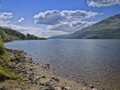 Asal Usul Monster Loch Ness Mulai Terungkap