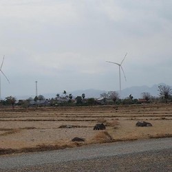 Seperti Eropa, Ini Penampakan Kebun Angin Terbesar Kedua RI