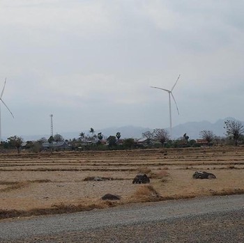 Seperti Eropa, Ini Penampakan Kebun Angin Terbesar Kedua RI